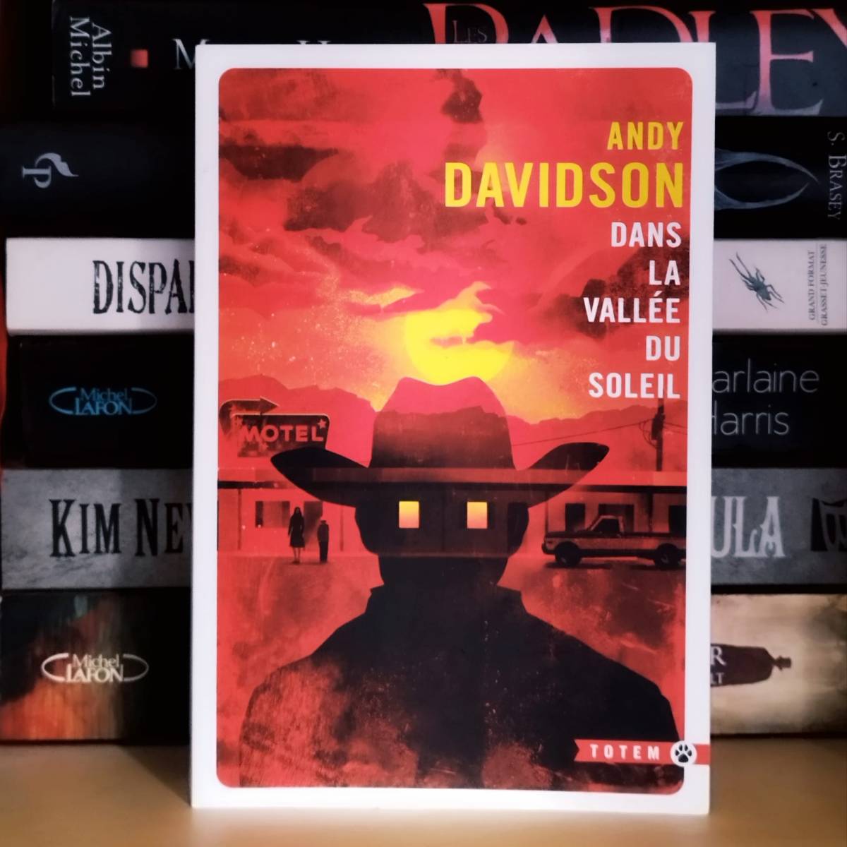 Andy Davidson, Dans la vallée du&nbsp;soleil