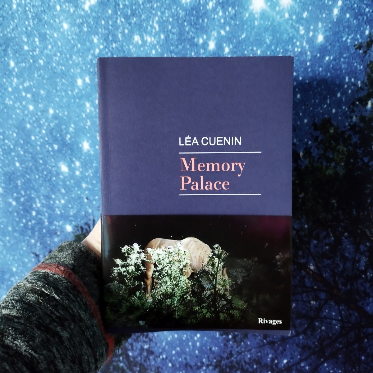 Léa Cuenin, Memory&nbsp;Palace